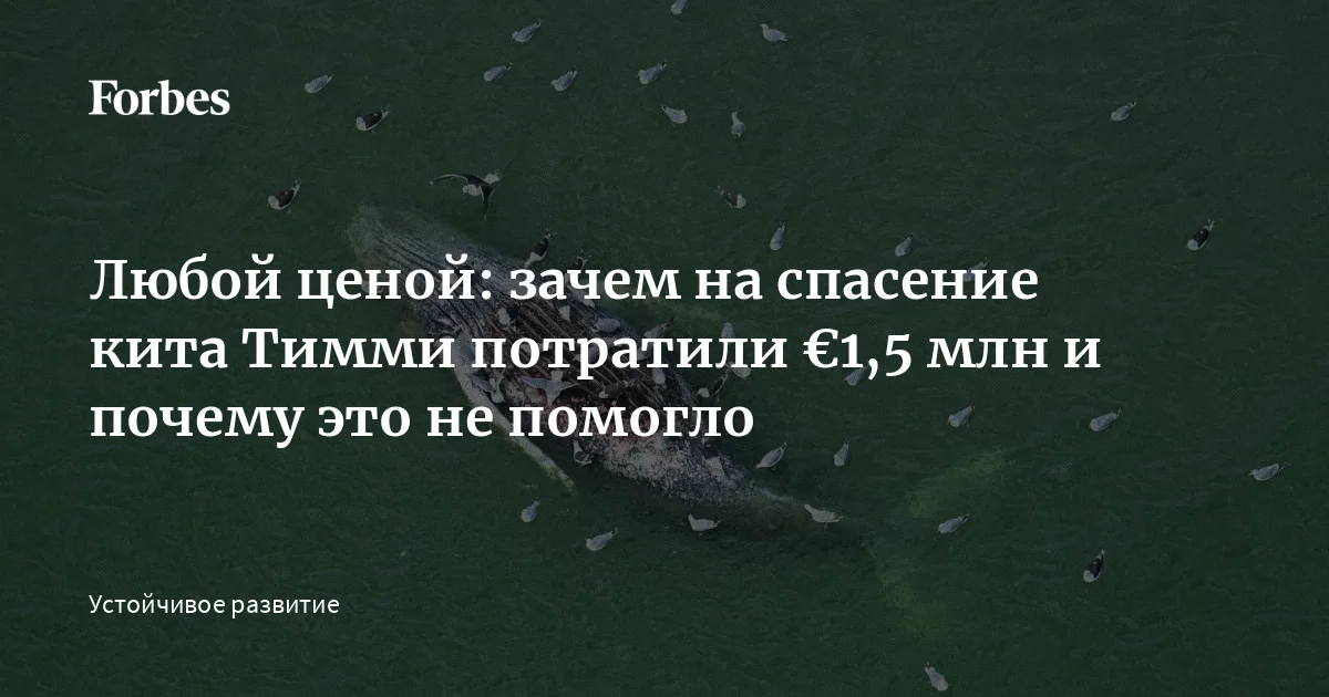 www.forbes.ru